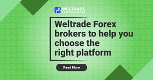 Weltrde Forex brokers